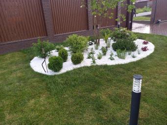 Посев кусты и газон